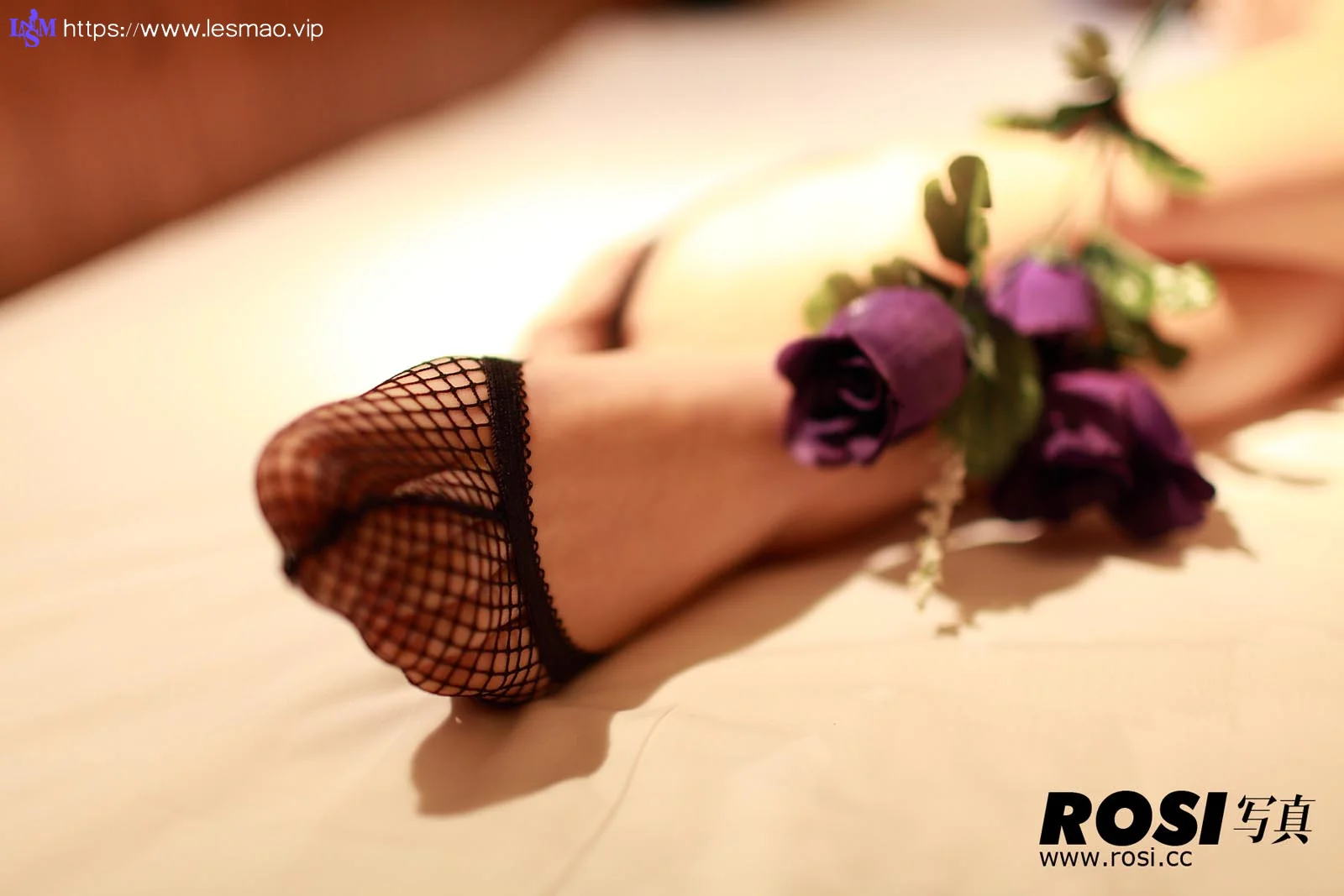 Rosi 写真 No.028 33P/19.08M - 7