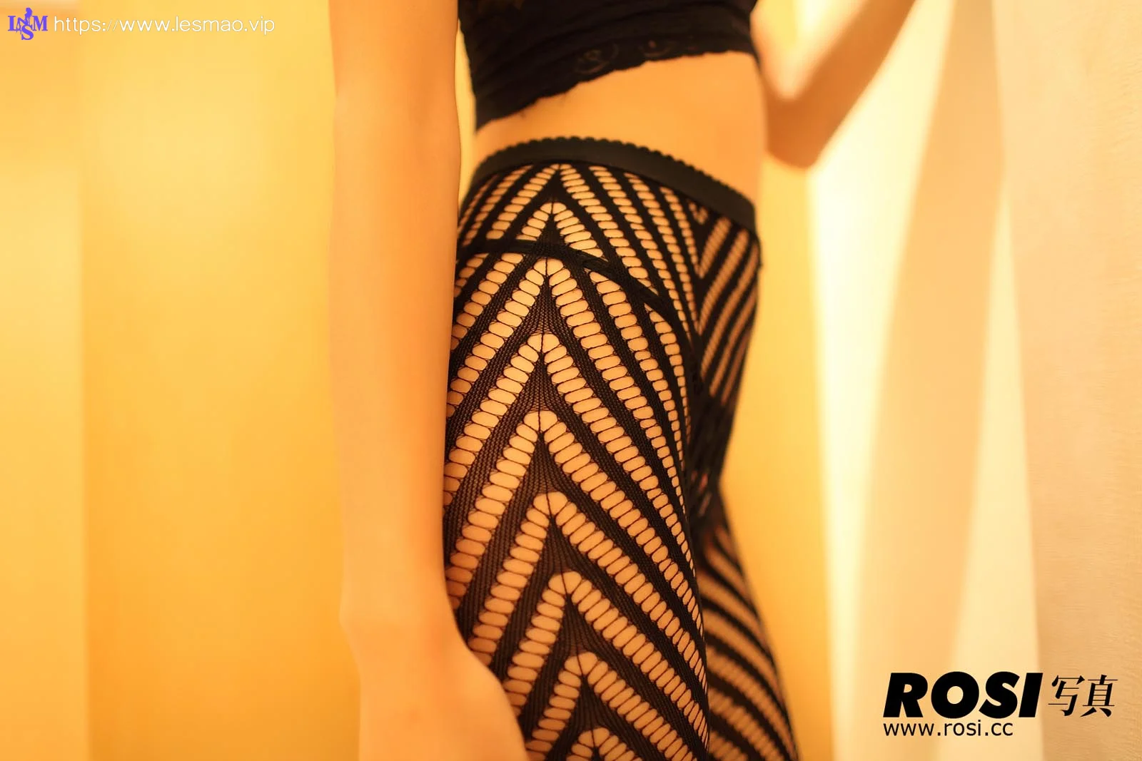 Rosi 写真 No.084 38P/41.66M - 5