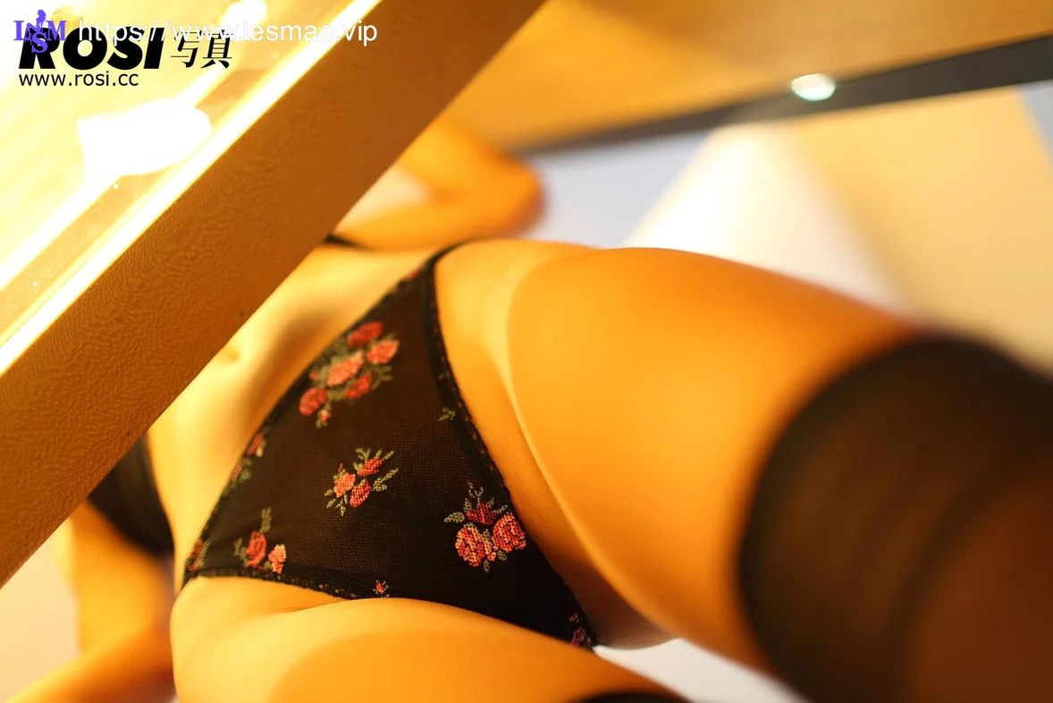 Rosi 写真 No.095 19P/17.35M - 5