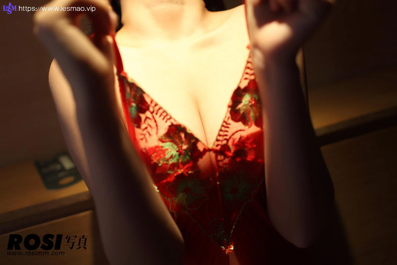 Rosi 写真 No.309 22P/23M - 2