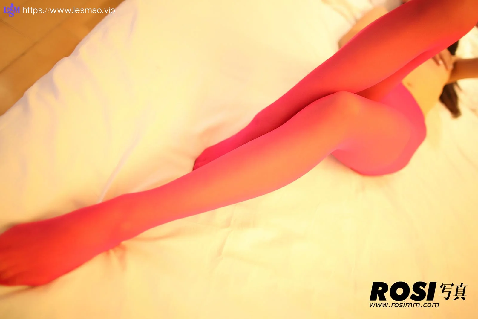 Rosi 写真 No.509 21P/19M - 5