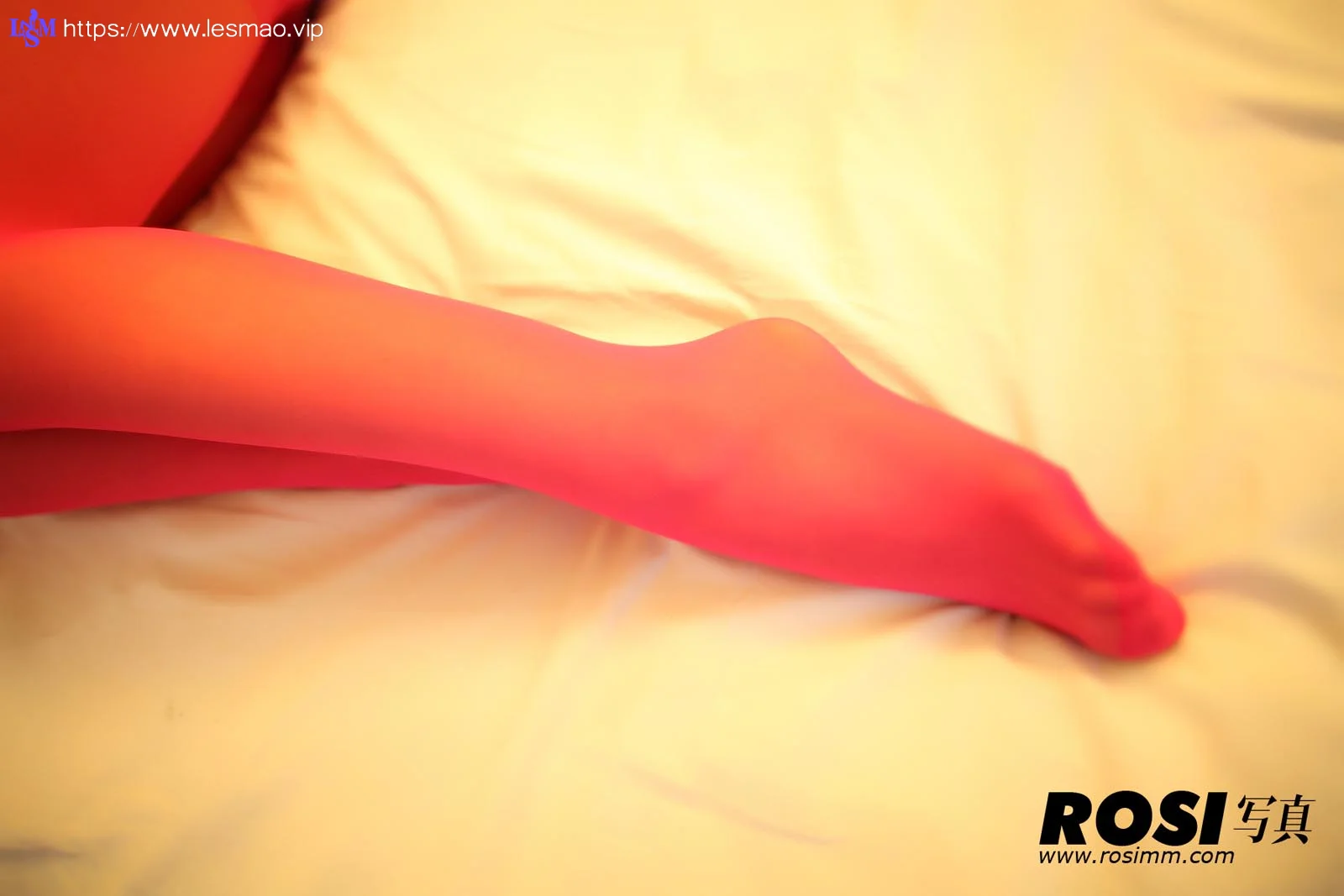 Rosi 写真 No.509 21P/19M - 8