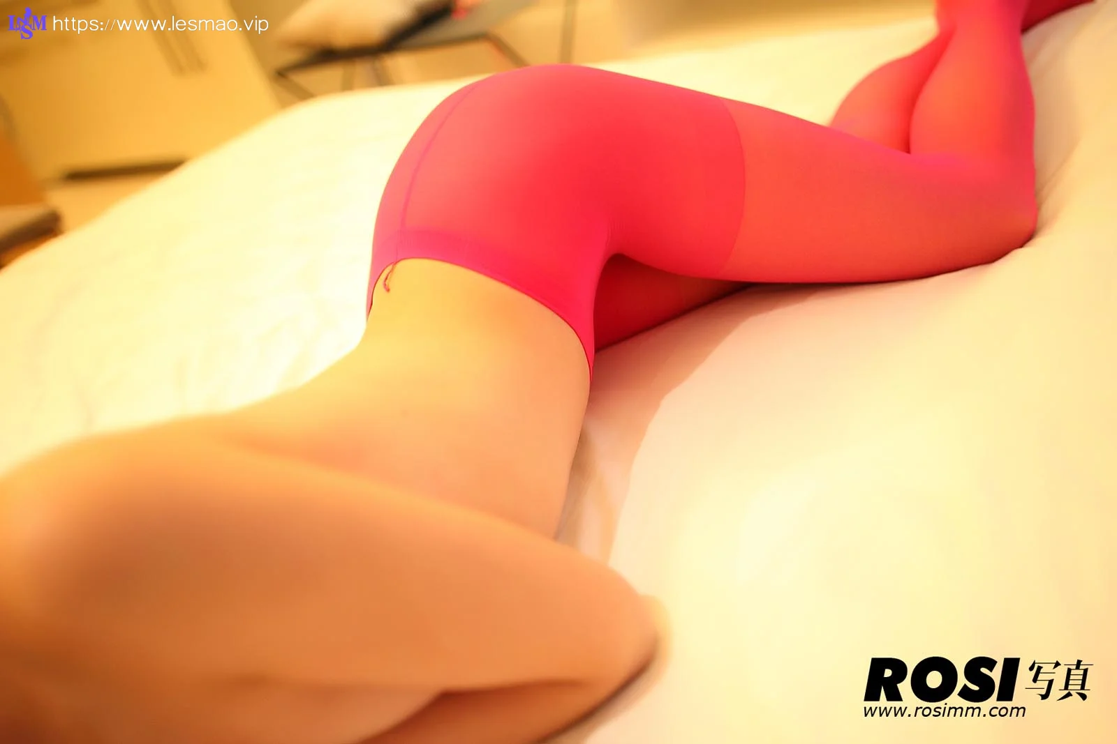 Rosi 写真 No.509 21P/19M - 10