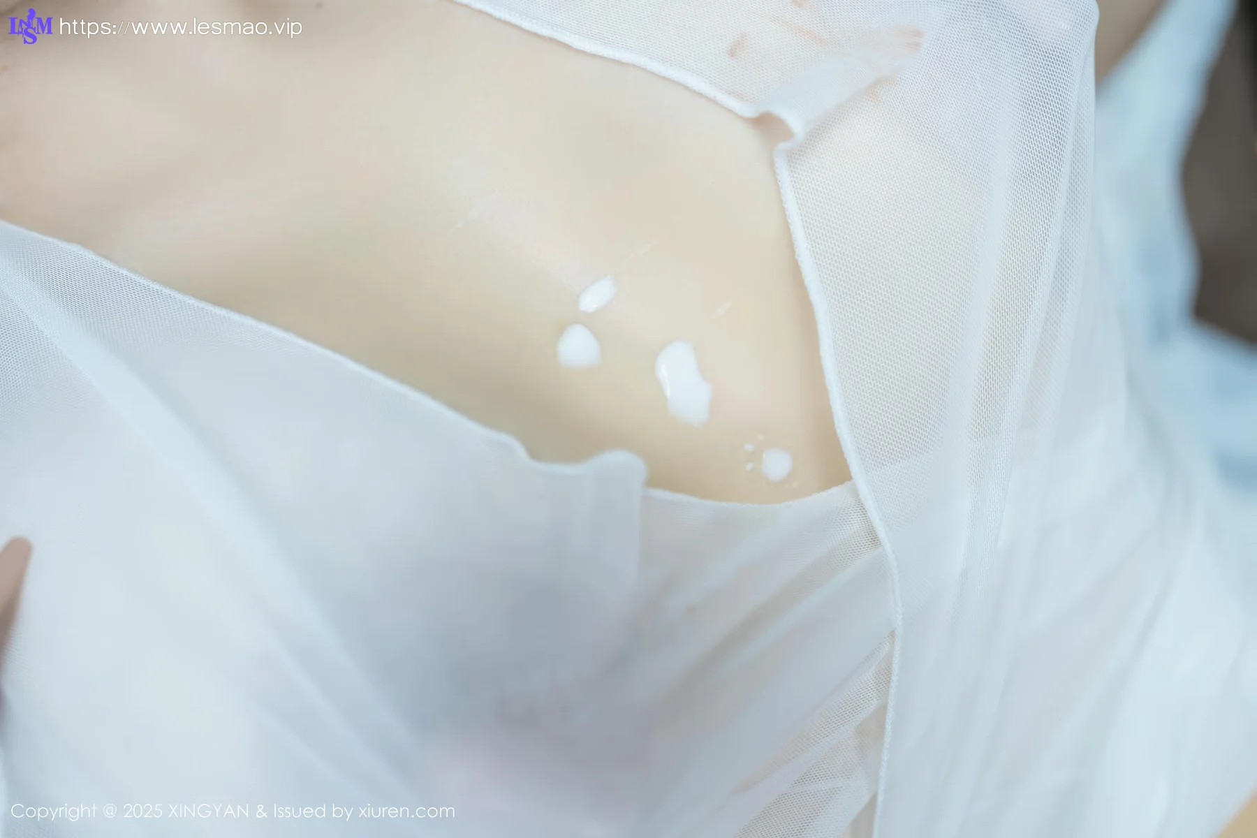 XINGYAN 星颜社 Vol.372 潘思沁 巨乳肥臀媚态十足 - 2