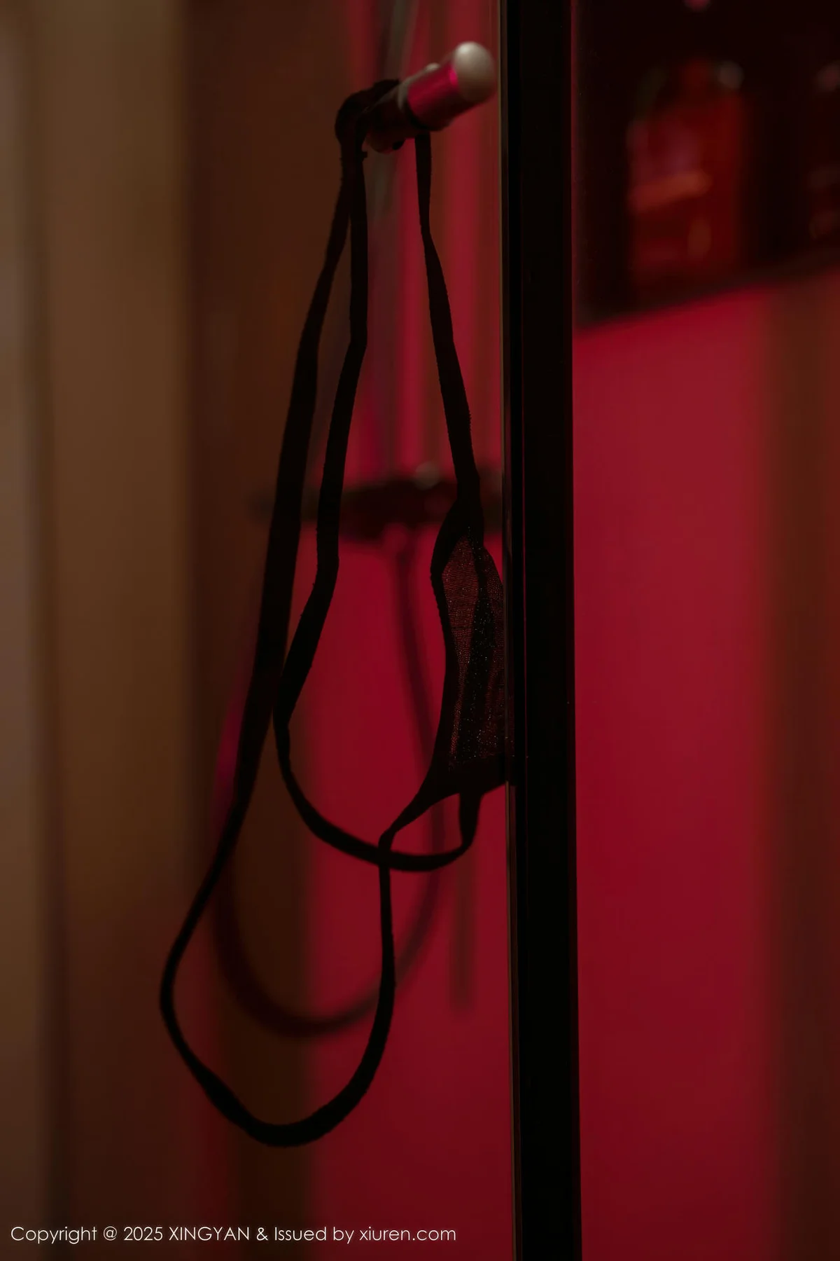 XINGYAN 星颜社 Vol.424 沈南汐RuRu 湿身翘臀超美美女 - 6