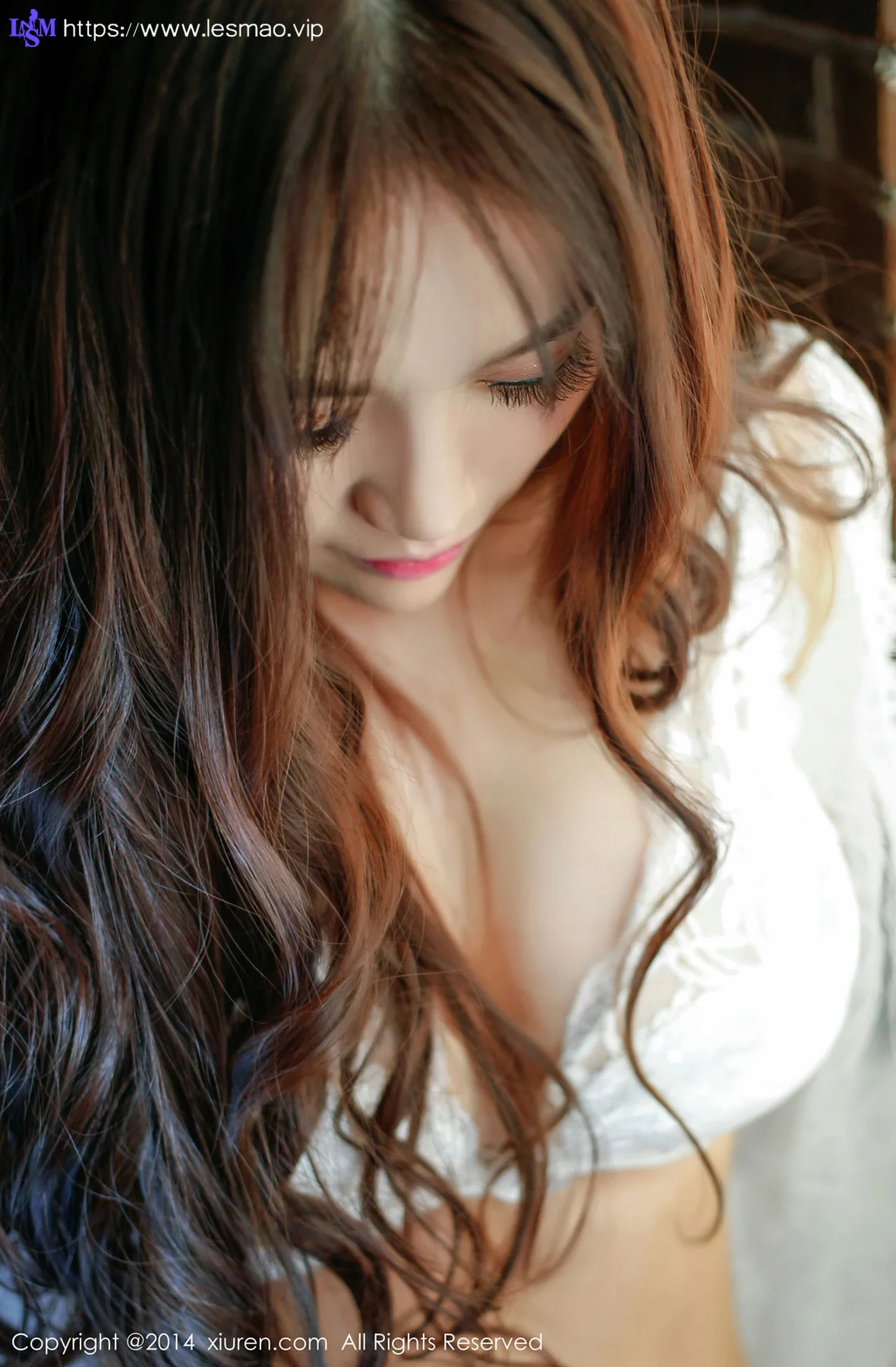 XiuRen 秀人 No.225 高溜MilkCat - 3