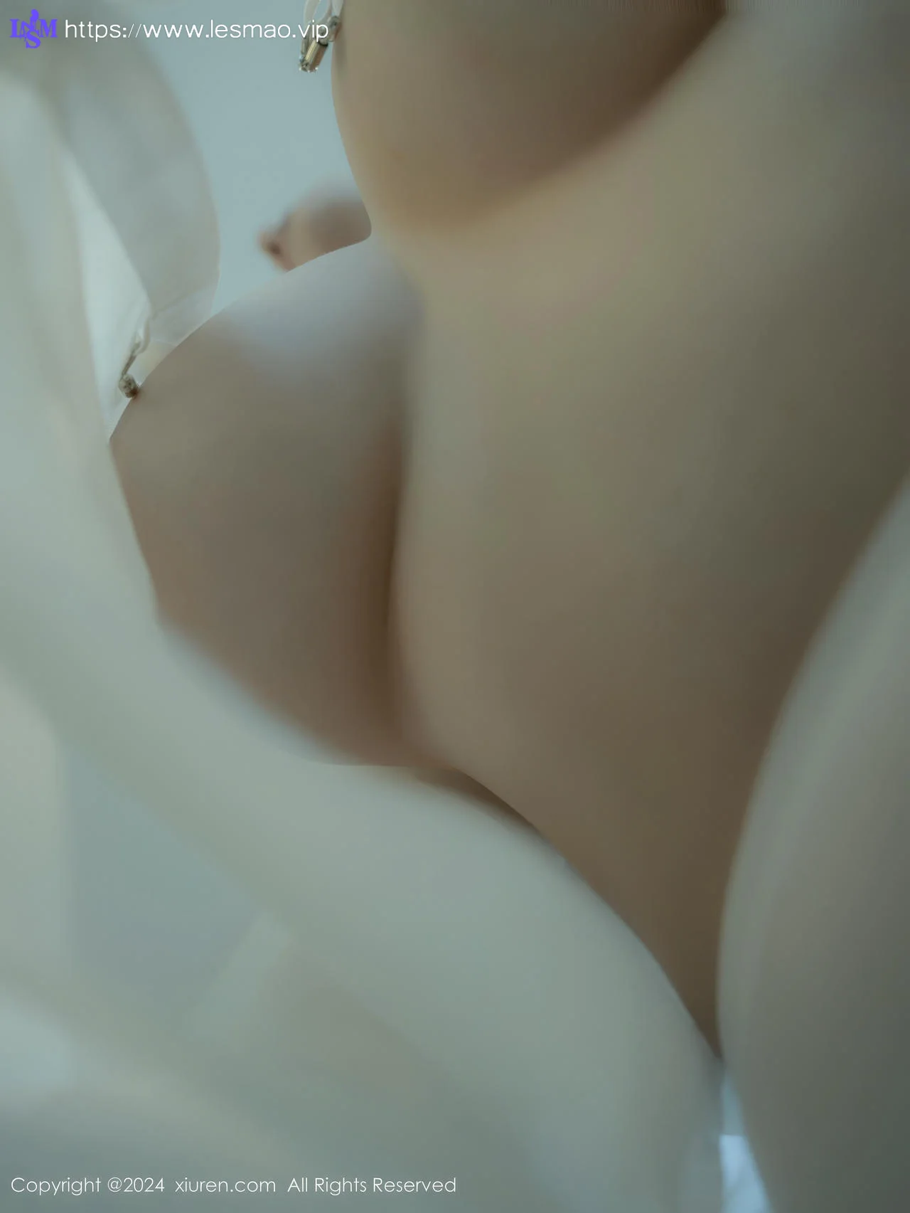 XiuRen 秀人 No.9667 袁圆 白衬衫下的美乳 - 3